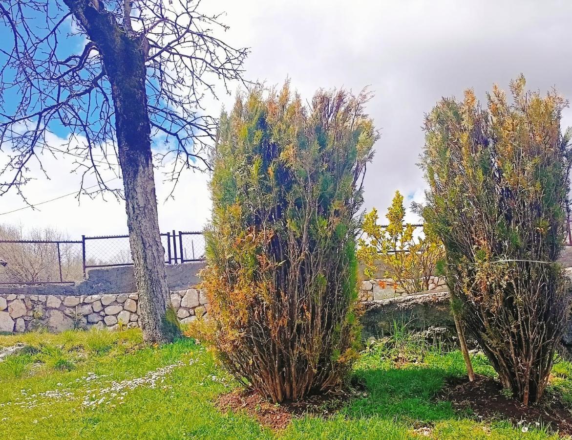 סטינג'ה Holiday In The National Park Lovcen מראה חיצוני תמונה