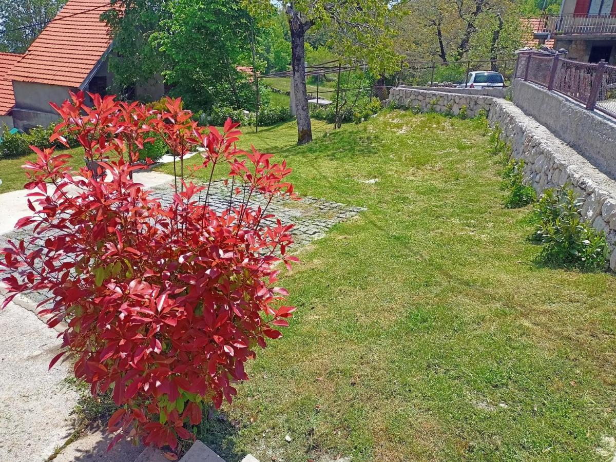 סטינג'ה Holiday In The National Park Lovcen מראה חיצוני תמונה